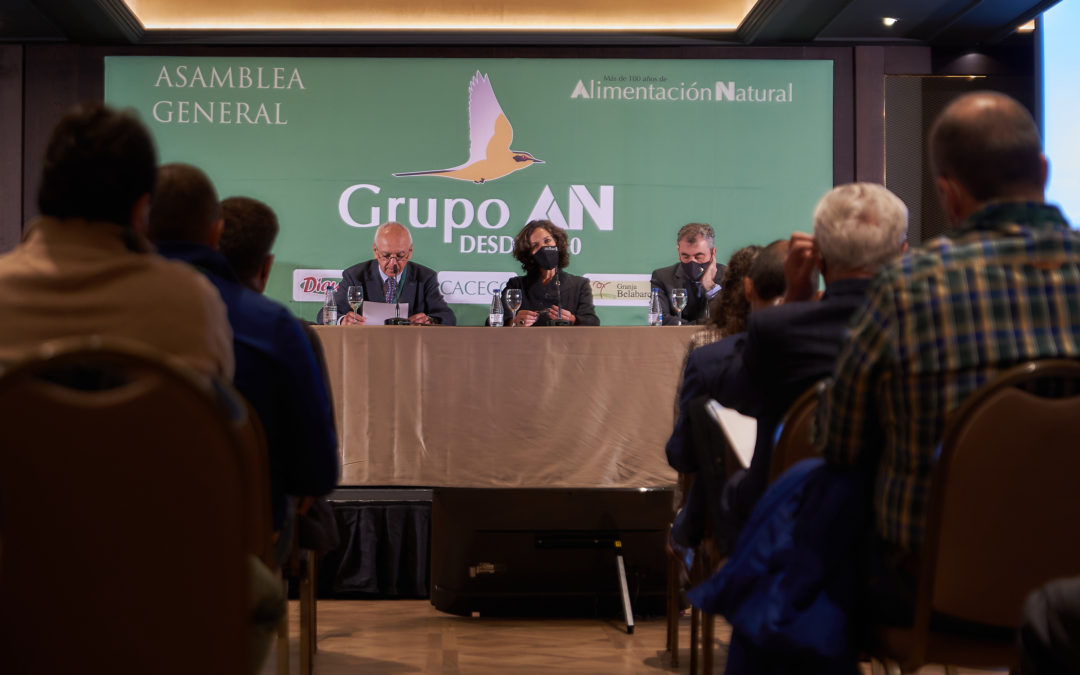 25 de noviembre, Asamblea General del Grupo AN