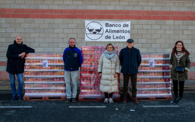 El Grupo AN entrega más de 760 toneladas de producto a 15 Bancos de Alimentos en 2022