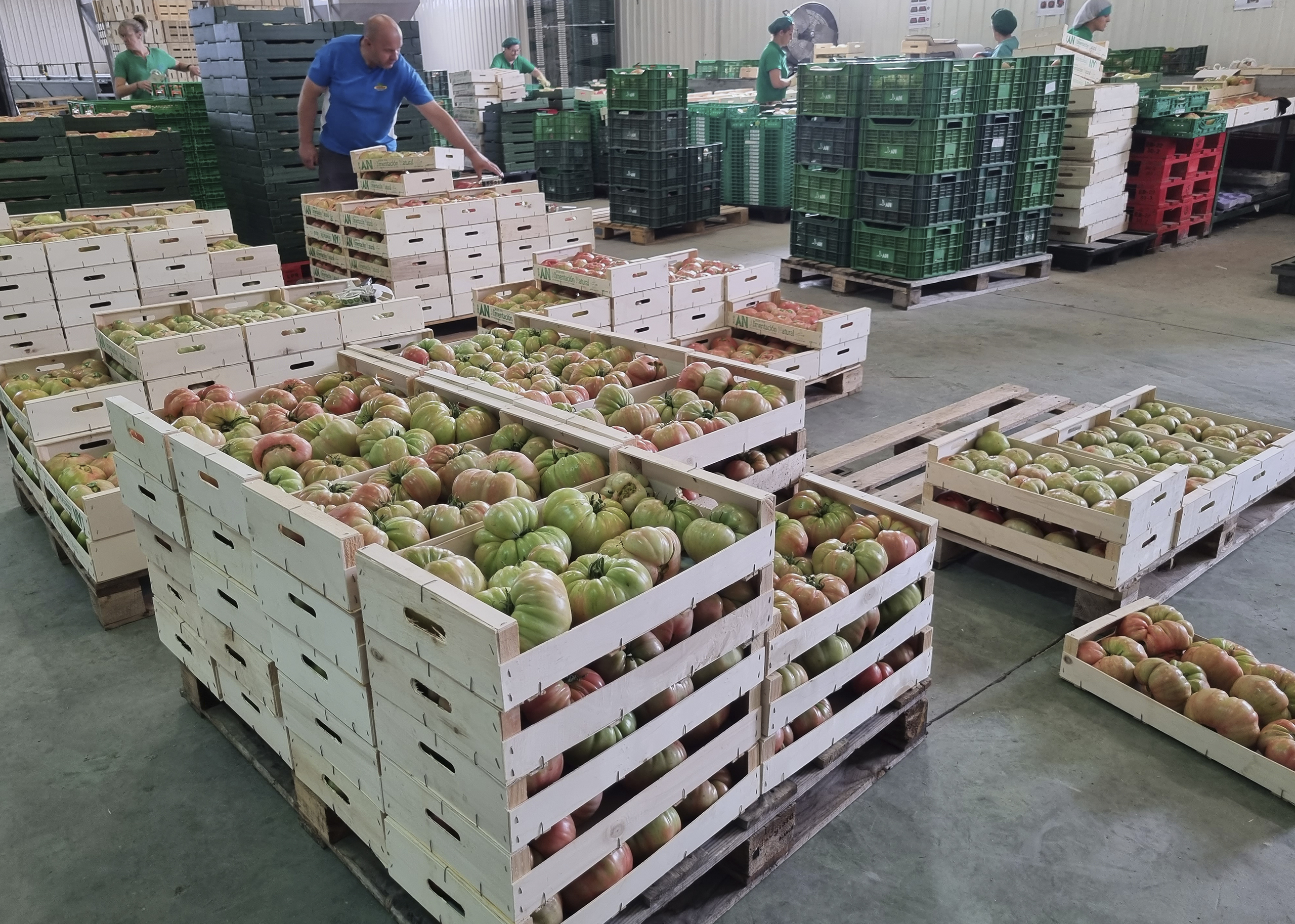 Banco de Alimentos León